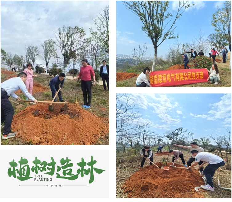 1711680067272778.jpg 植樹11.jpg